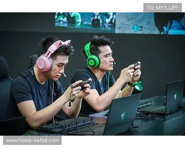 凯发备用手机客户端下载：安全稳定的游戏环境保障您的娱乐体验