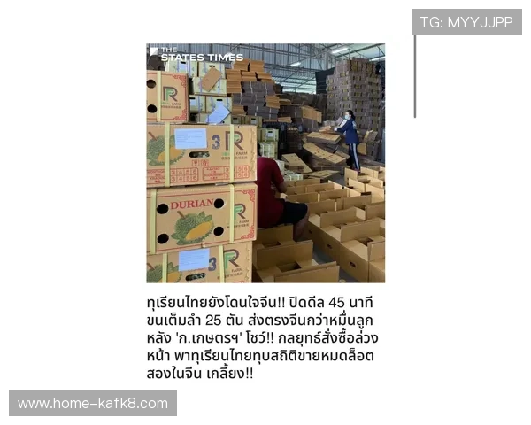 凯发直播中文站合作伙伴与品牌联盟介绍增强平台影响力