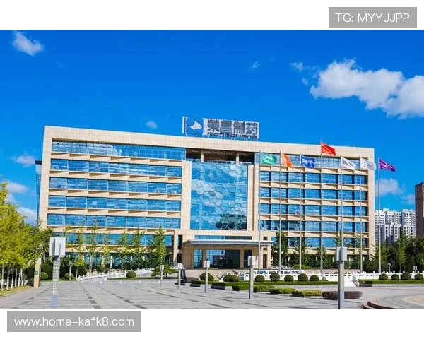 凯发集团官网首页网址查询工具推荐，提升访问效率与安全保障