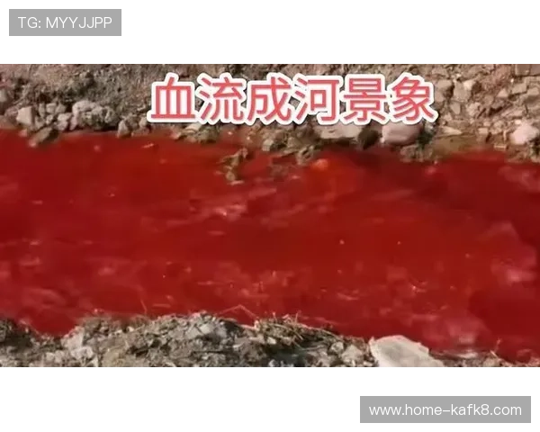 血流成河